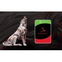Жесткий диск для NAS Seagate IronWolf ST16000VN001