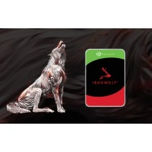 Жесткий диск для NAS Seagate IronWolf ST16000VN001