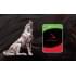 Жесткий диск для NAS Seagate IronWolf ST16000VN001 (СИГЕЙТ) Жесткий диск для NAS Seagate IronWolf ST16000VN001 (СИГЕЙТ)