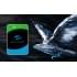 Жесткий диск SkyHawk Seagate ST8000VX010 (СИГЕЙТ) Жесткий диск SkyHawk Seagate ST8000VX010 (СИГЕЙТ)