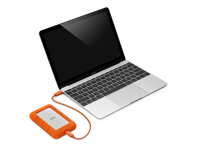 Внешний жесткий диск LaCie Rugged USB-C STFR1000800 (СИГЕЙТ)